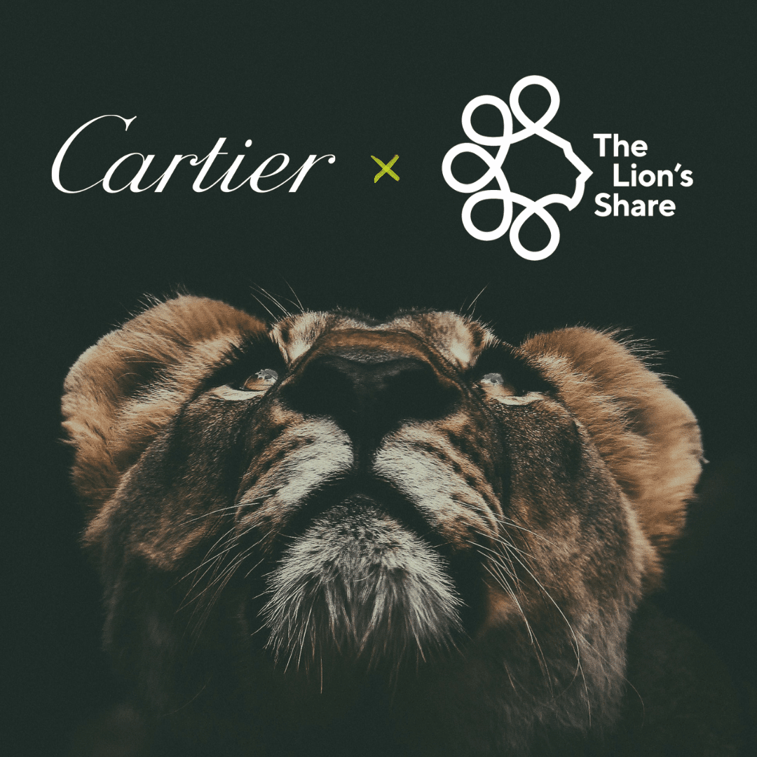 Cartier starts collaboration with The Lion's Share Fund