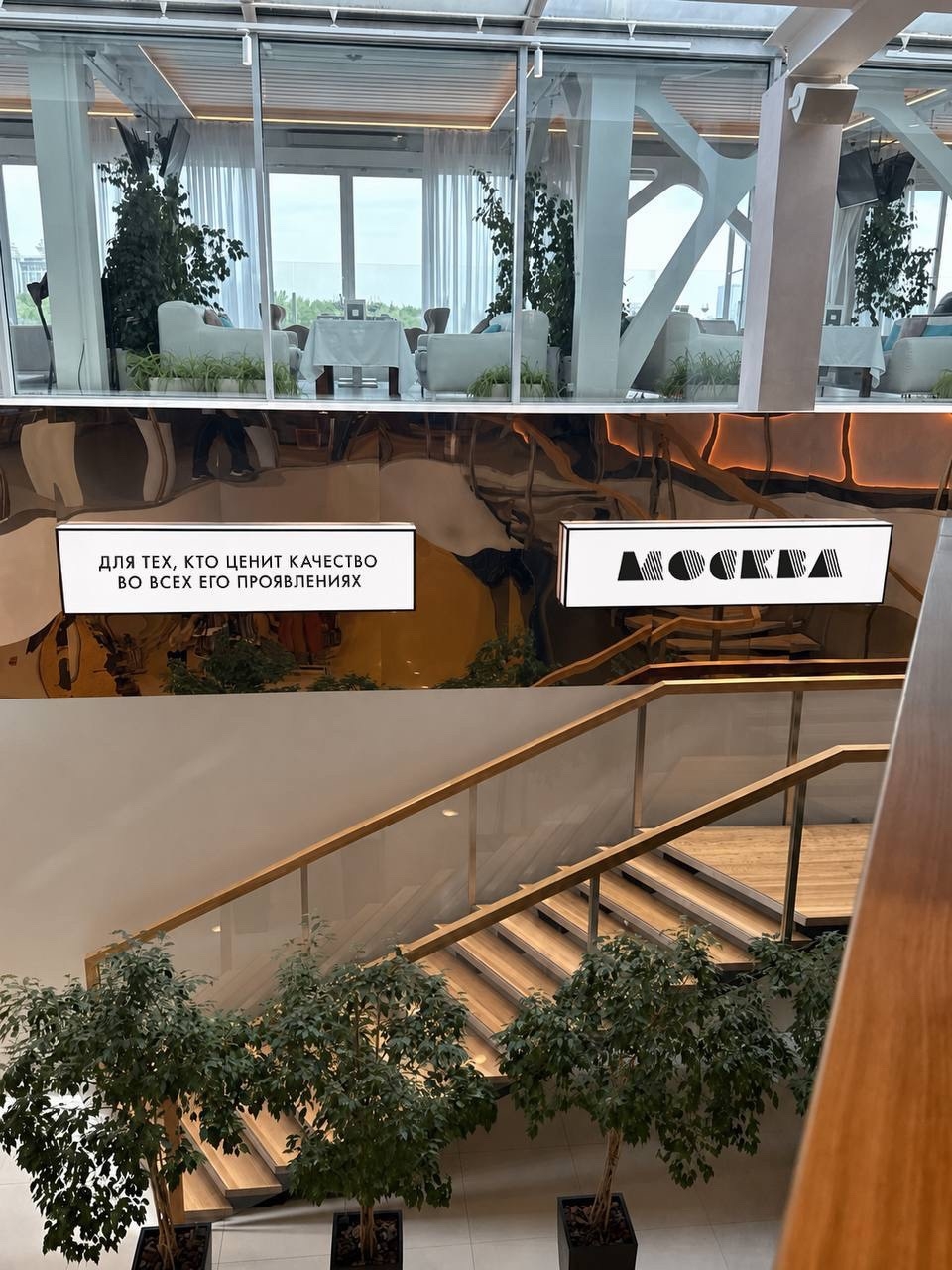 Новая глава киноклуба «Москва» 