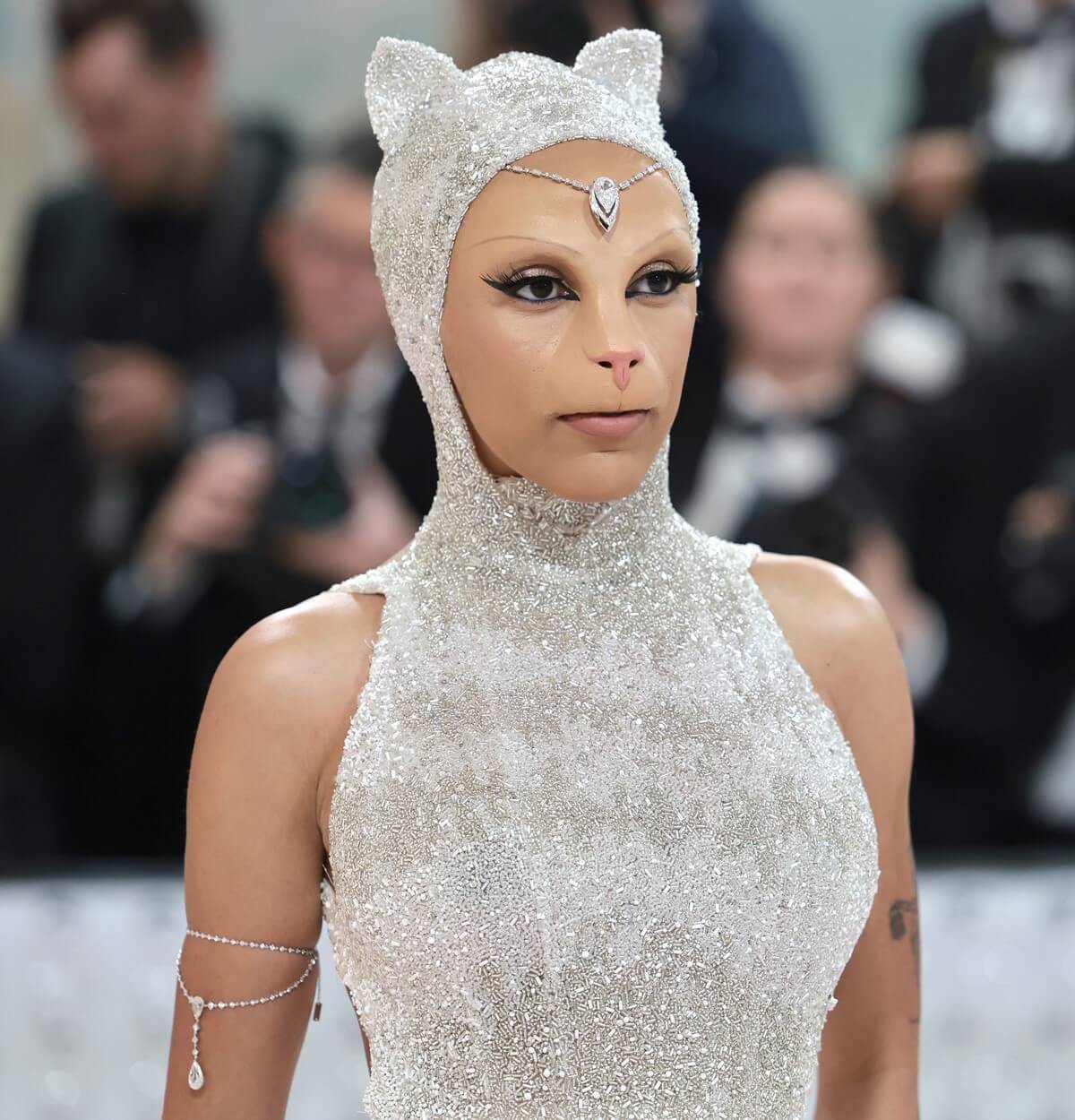 Доджа Кэт и Карла Бруни на Met Gala