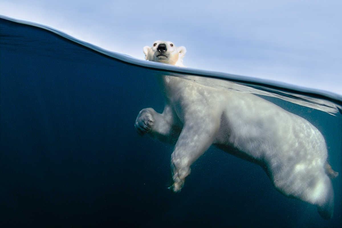Sale At LUMAS, The Gallery Of Contemporary Photography!
