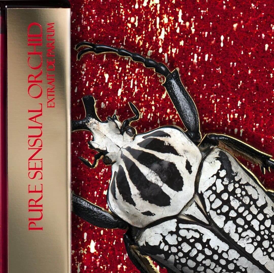 Новый аромат Pure Sensual Orchid Laurent Mazzone